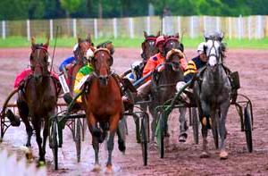 Harness Racing in the UK