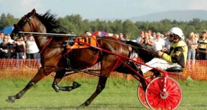 Australian Harness Racing