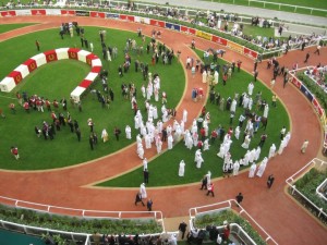 Dubai Horse Show