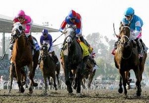 Breeder's Cup Race