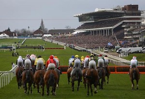 Horse Racing Metting