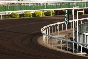 Horse Racetracks