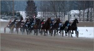Snowy Harness Race