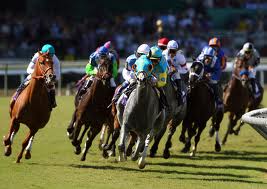 Breeder's Cup Turf Race