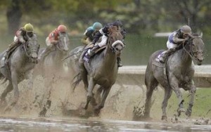 Breeder’s Cup in the Mud