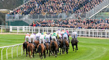 Cheltenham Festival Horse Racing Event