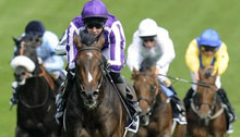 Grand National Results - Past 5 Years