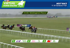 SkyBet Virtual Horse Racing